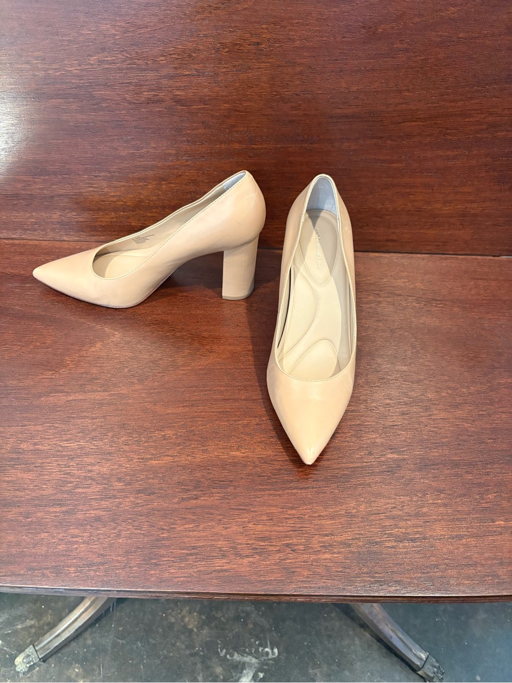 ANTONIO MELANI Nude Pointed-Toe Block Heel Pumps